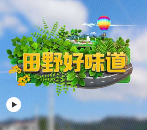 生态驯养娃娃鱼 老乡致富有新方